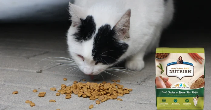 rachael ray cat food