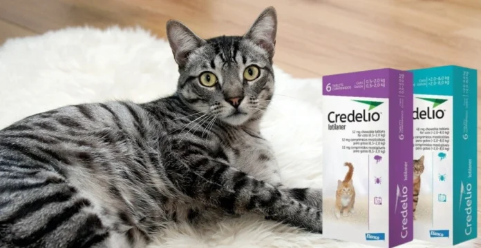 Credelio for Cats